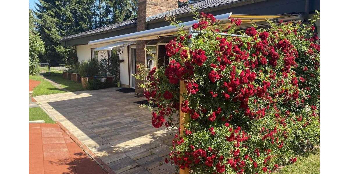 Bungalow Wolfstein - 7 Zimmer, 206 m&sup2;, 330.000&euro; | Angebot:24377651