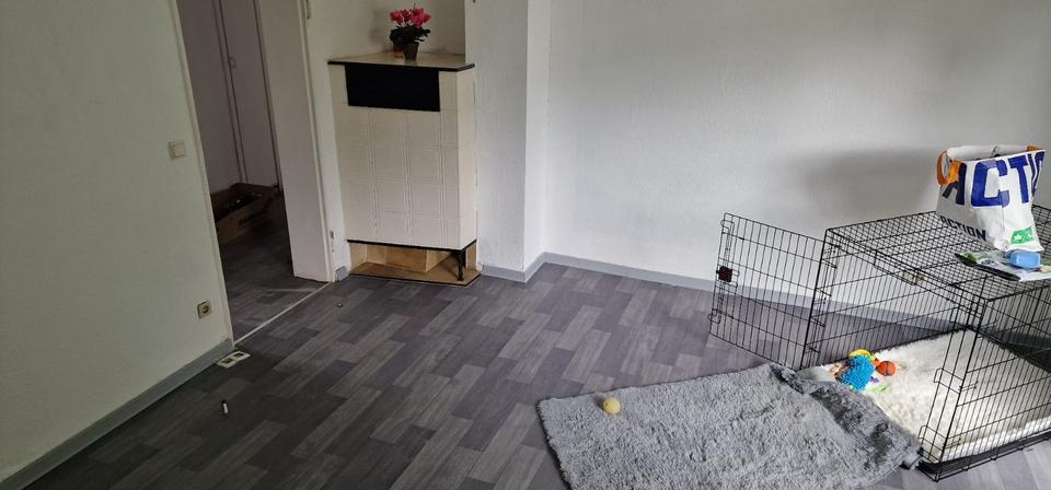 Etagenwohnung Kusel - 3 Zimmer, 80 m&sup2;, 570&euro; | Angebot:26090616