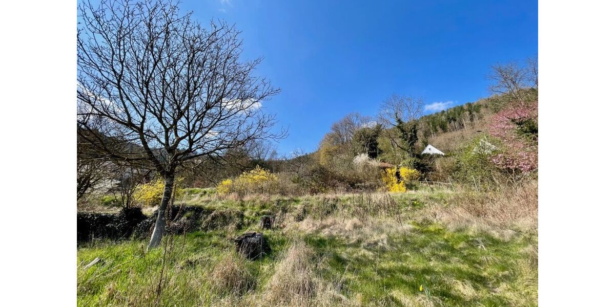 Provisionsfrei* Wunderschöne, komplett renovierte 140qm Altbauwohnung nahe Neustadt mit Garten - 5- Frankeneck | Angebot:25908495