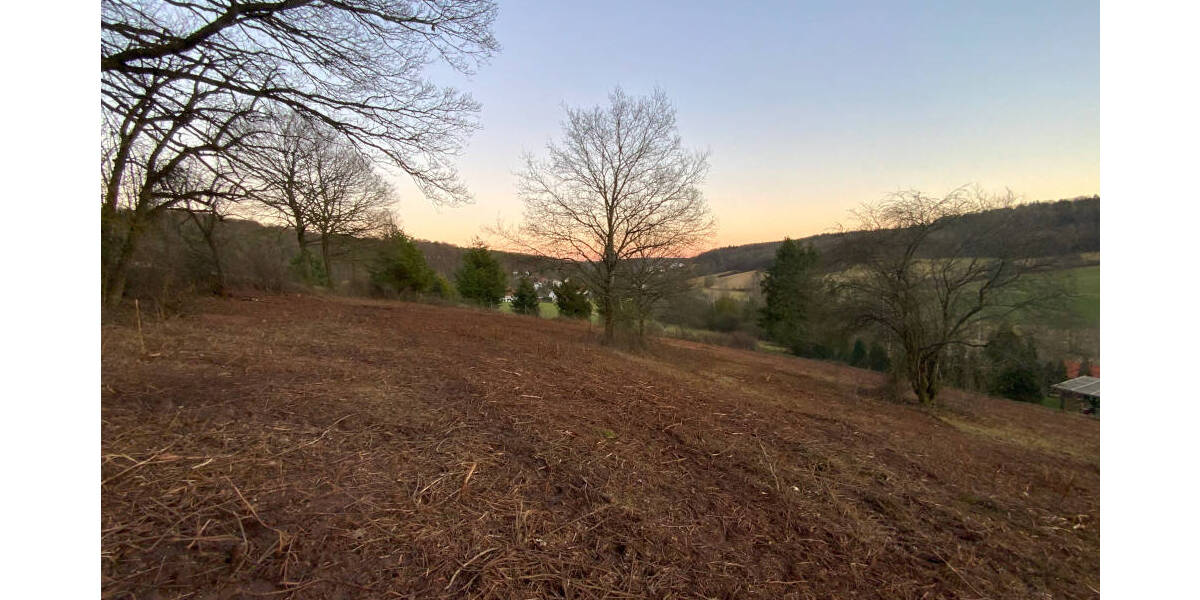 Grundstück Neuhemsbach - 115.000&euro; | Angebot:25691406