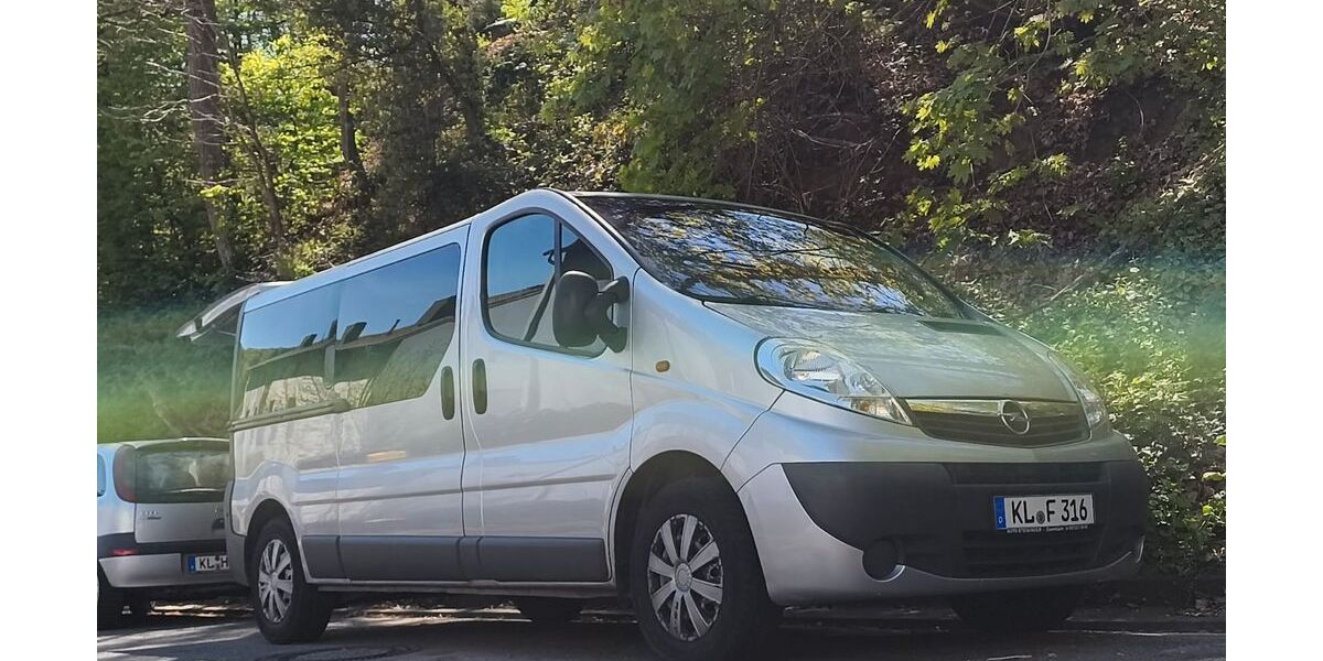Opel Vivaro 196.000 km 7.999 &euro; Kaiserslautern 67659