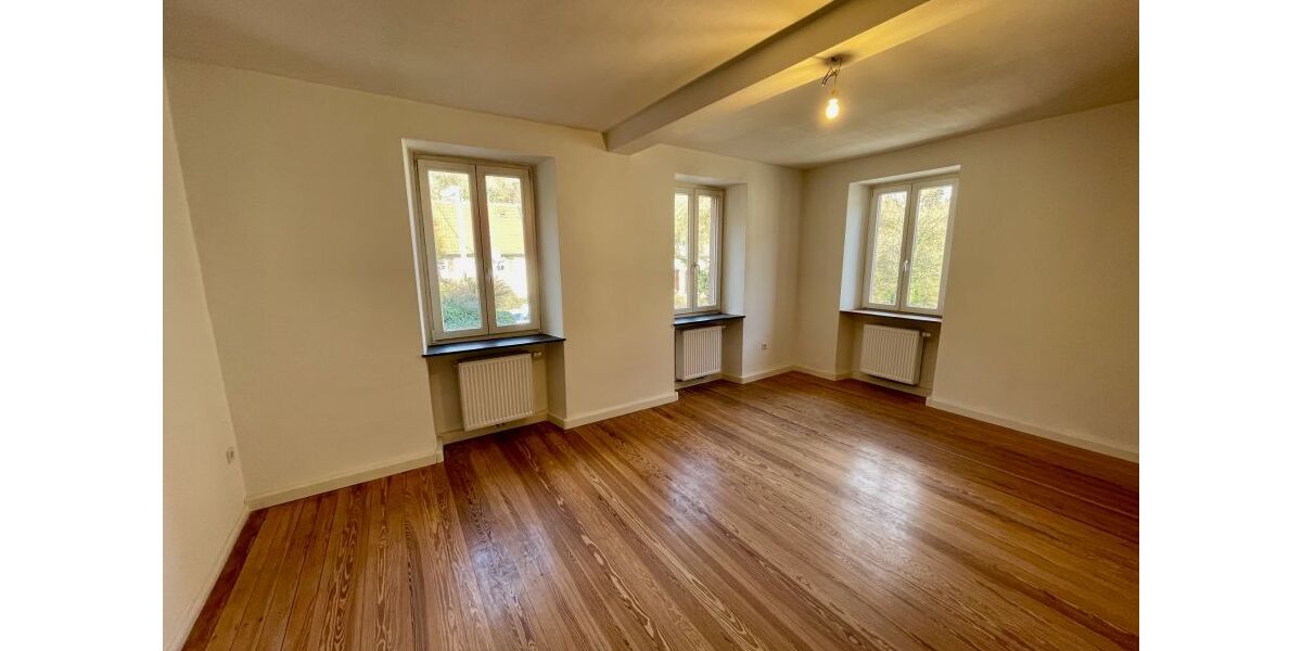 Provisionsfrei* Wunderschöne, komplett renovierte 140qm Altbauwohnung nahe Neustadt mit Garten - 5- Frankeneck bei Neustadt | Angebot:25908495
