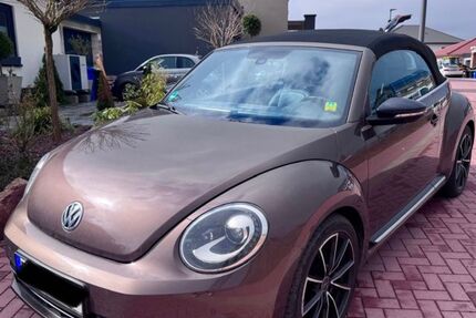 VW Beetle