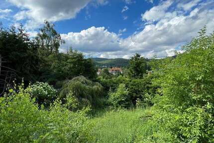 Grundstück zu verkaufen in Königstein 1.400.000 € 1293 m²