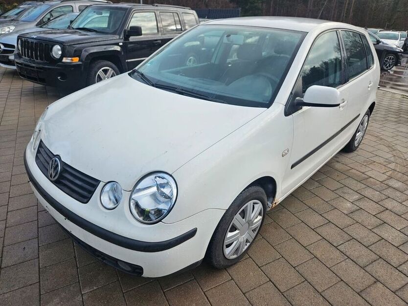 Polo