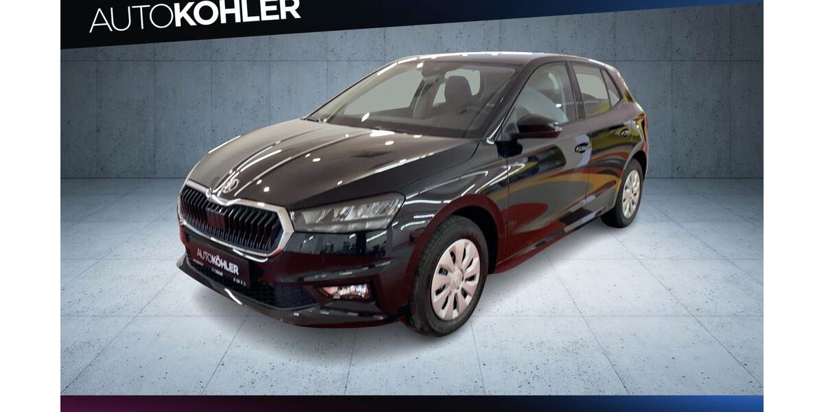 Skoda Fabia 1.017 km 21.900 € Bad Dürkheim 67098