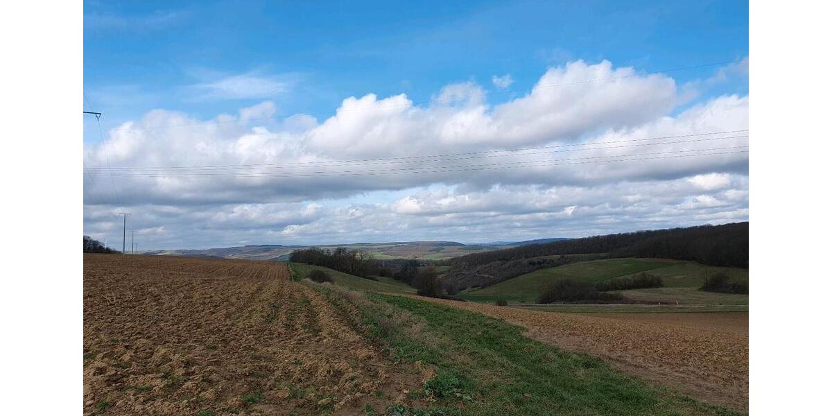 Grundstück Winnweiler - 7.900&euro; | Angebot:25381392