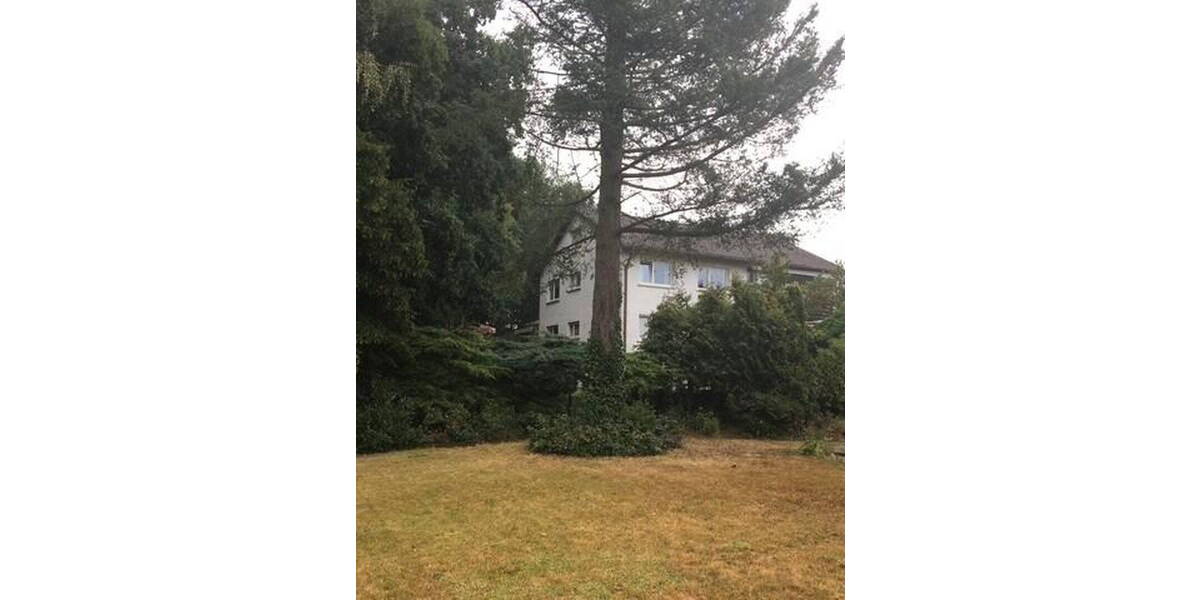 Mehrfamilienhaus, Wohnhaus Kaiserslautern Innenstadt - 1 Zimmer, 315 m&sup2;, 538.000&euro; | Angebot:25824666