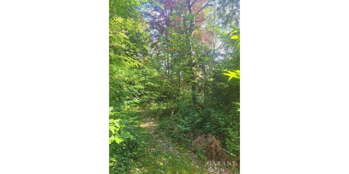 Grundstück Trippstadt - 130.000&euro; | Angebot:24532818