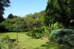 ObjNr:19712 - Saniertes freistehendes Einfamilienhaus auf parkähnlichem Grundstück - Einfamilienhaus Rockenhausen | Angebot:21381796