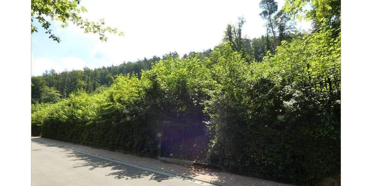 Grundstück Rodalben - 149.000&euro; | Angebot:24595212