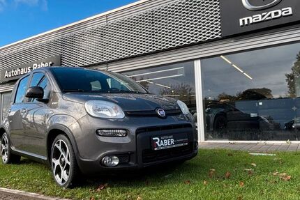 Fiat Panda 38.625 km 11.890 € Neustadt 67433