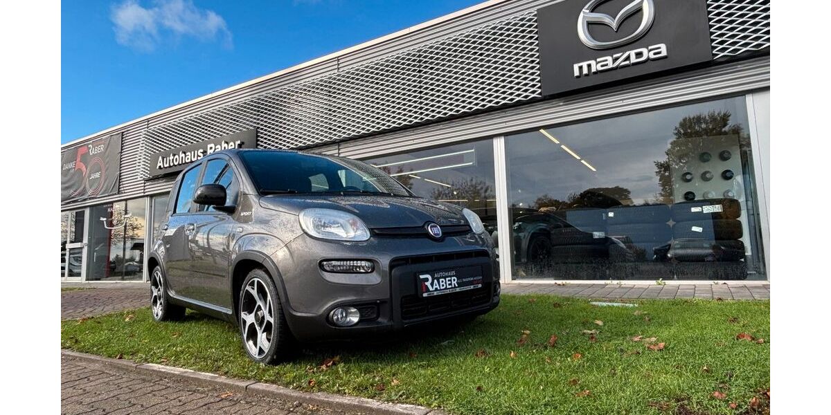 Fiat Panda 38.625 km 11.890 € Neustadt 67433