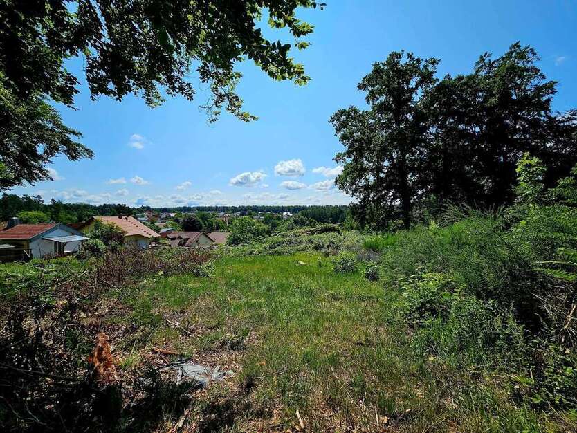 Grundstück zu verkaufen in Langensohl 299.000 € 2912 m²