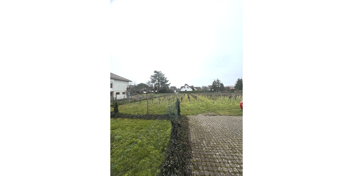 Attraktive 2-Zimmer-Eigentumswohnung in ruhiger Lage von Kallstadt an der Weinstraße - Erdgeschoßwohnung Kallstadt | Angebot:25053197