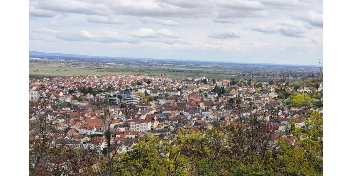 Terrassenwohnung Bad Dürkheim - 4 Zimmer, 128 m&sup2;, 569.000&euro; | Angebot:26117615