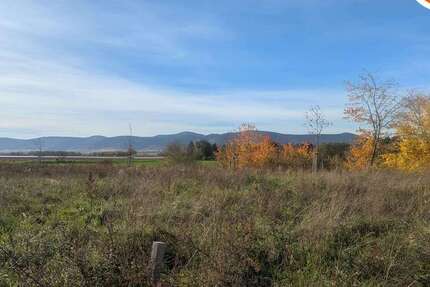 Grundstück Neustadt Duttweiler - 487.500&euro; | Angebot:24981234