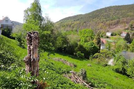 Grundstück zu verkaufen in Lambrecht (Pfalz) 42.000 € 917 m² zimmer