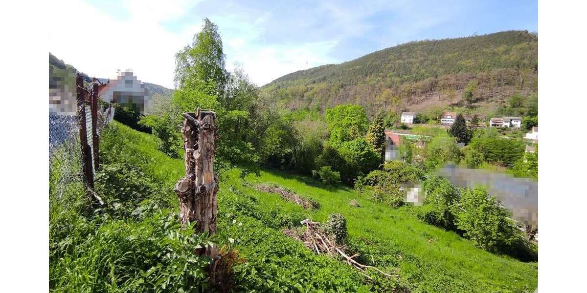 Grundstück zu verkaufen in Lambrecht (Pfalz) 42.000 € 917 m² zimmer