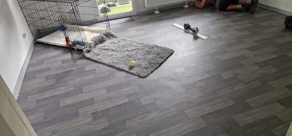 Etagenwohnung Kusel - 3 Zimmer, 80 m&sup2;, 570&euro; | Angebot:26090616