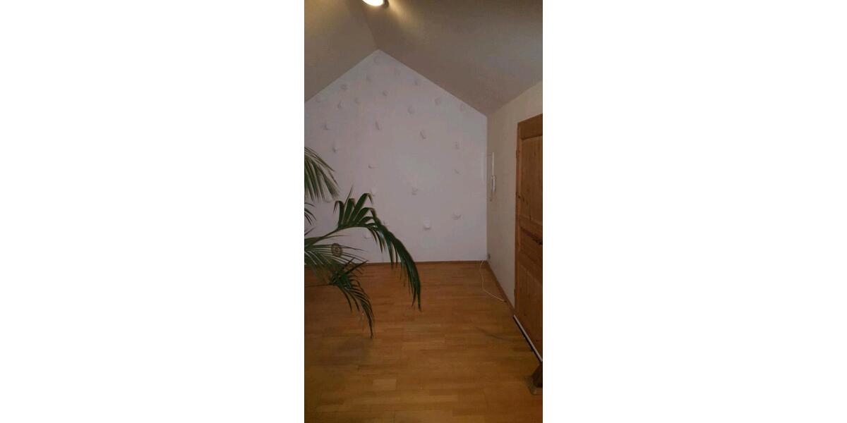Dachgeschoßwohnung Kaiserslautern Betzenberg - 1 Zimmer, 54 m&sup2;, 122.000&euro; | Angebot:24222956