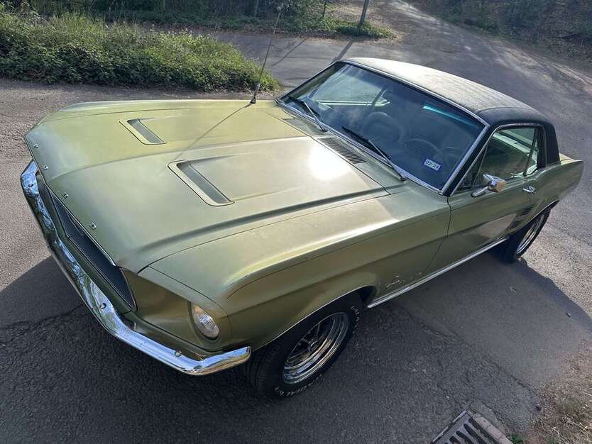 Mustang