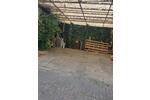 Reihenhaus Rodalben - 6 Zimmer, 160 m&sup2;, 1.200&euro; | Angebot:26612266