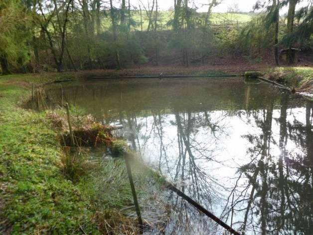 Grundstück zu verkaufen in Biedershausen 129.000 € 11000 m²
