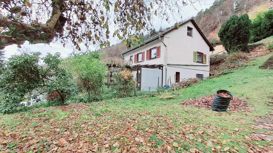 PROVISIONSFREI ! : Wohnen wo andere Urlaub machen in Bad Dürkheim 5 zimmer