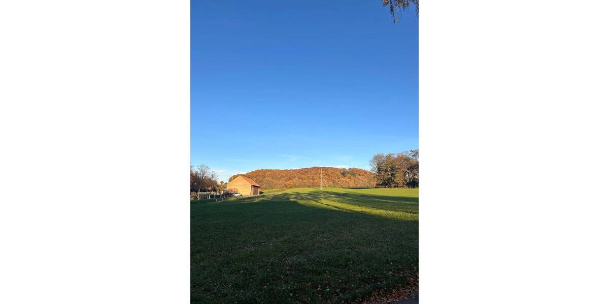 Grundstück Schiersfeld - 31.900&euro; | Angebot:25731940