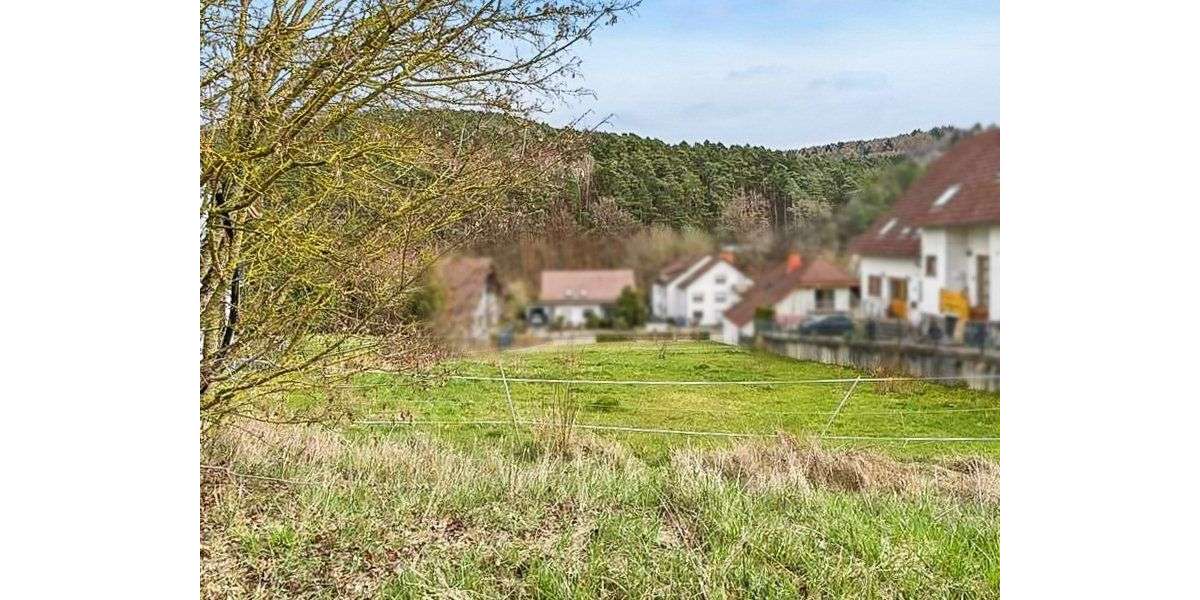 Grundstück Queidersbach - 159.000&euro; | Angebot:26832074