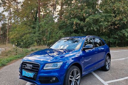 Audi Q5 131.400 km 20.200 &euro; Lambrecht 67466