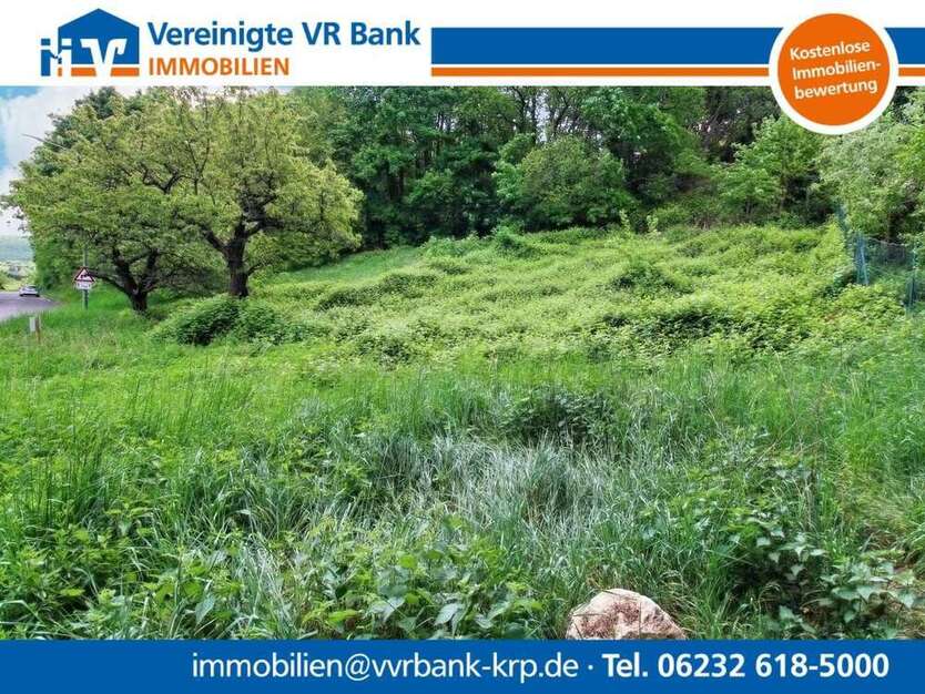 Grundstück zu verkaufen in Dannenfels 110.000 € 1185 m²