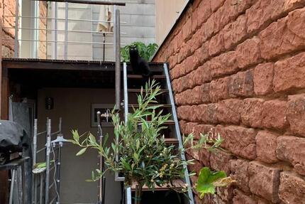 Haus Kaiserslautern - 5 Zimmer, 134 m&sup2;, 333.000&euro; | Angebot:26857440