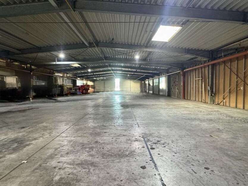 Halle in Ramstein-Miesenbach 6.500 € 1560 m²