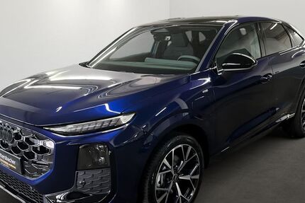 Audi Q3 3.000 km 58.900 &euro; Kaiserslautern 67663
