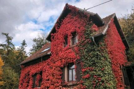Einfamilienhaus in der Natur 4 zimmer