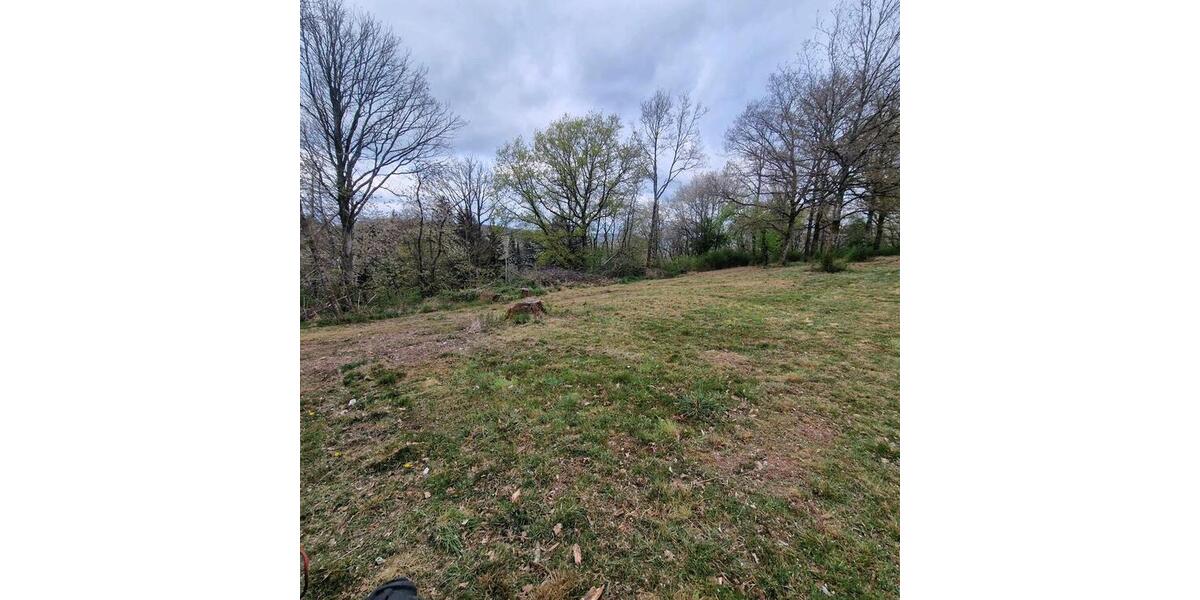 Einfamilienhaus Winnweiler - 2 Zimmer, 80 m&sup2;, 285.000&euro; | Angebot:25614200