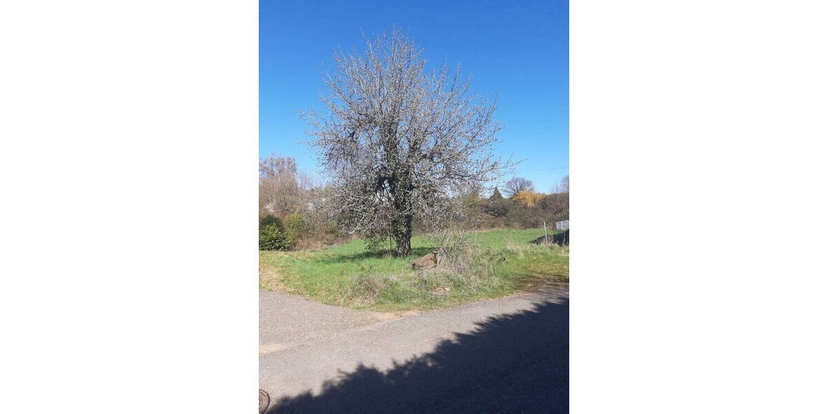 Grundstück Trippstadt - 189.000&euro; | Angebot:26434655