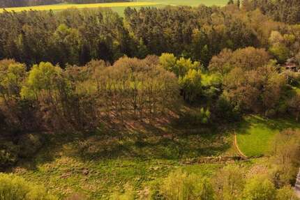 Grundstück Enkenbach-Alsenborn Alsenborn - 150.000&euro; | Angebot:24435631