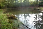 Teichanwesen mitten im Wald Südwestpfalz zimmer