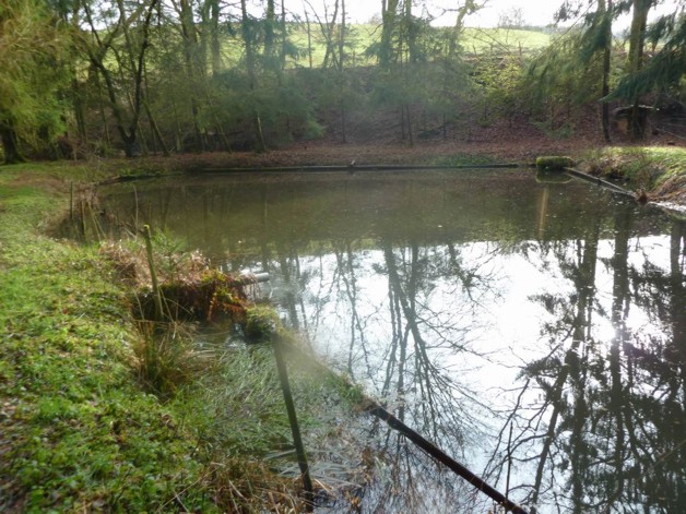 Teichanwesen mitten im Wald Südwestpfalz zimmer