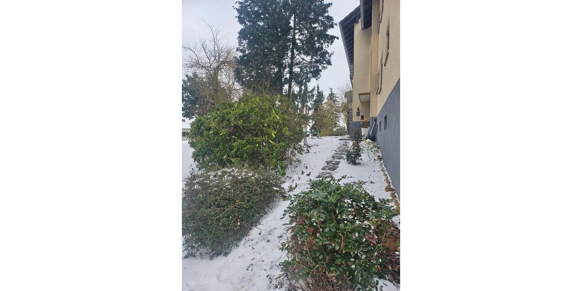 3 Zimmerwohnung mit Balkonen ,GarageGarten in Kirchheimbolanden 3 zimmer