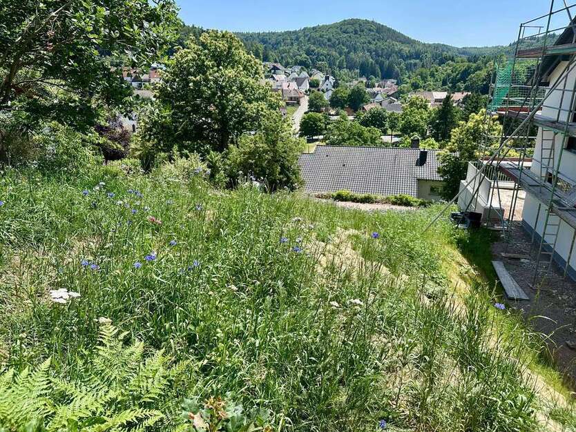 Grundstück zu verkaufen in Kaiserslautern 145.000 € 745 m²