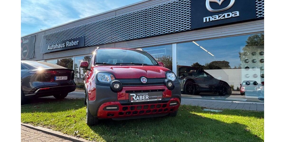 Fiat Panda 70.162 km 11.990 € Neustadt 67433