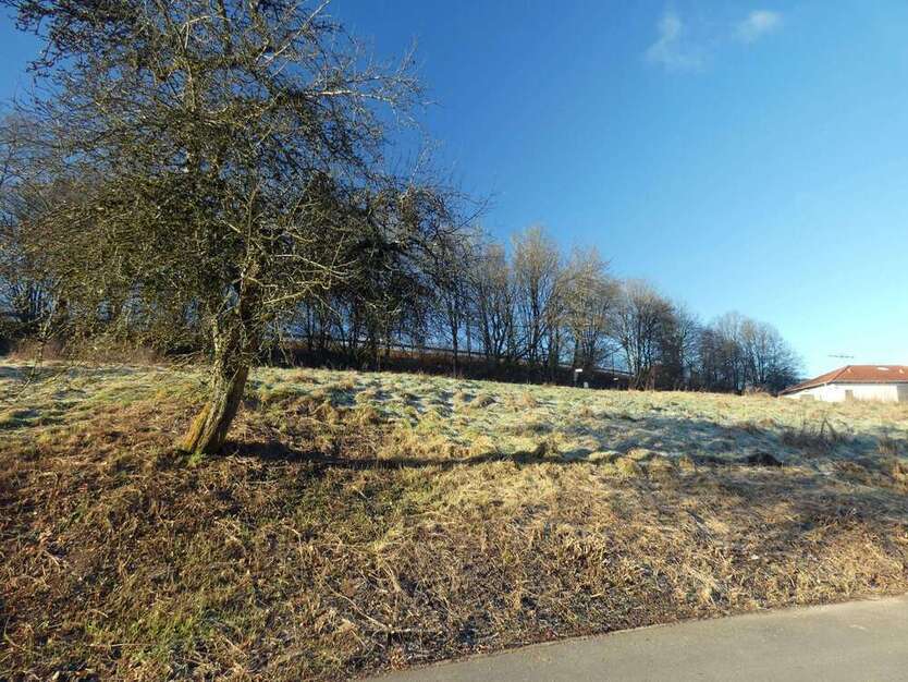 Grundstück zu verkaufen in Weselberg 75.000 € 680 m²