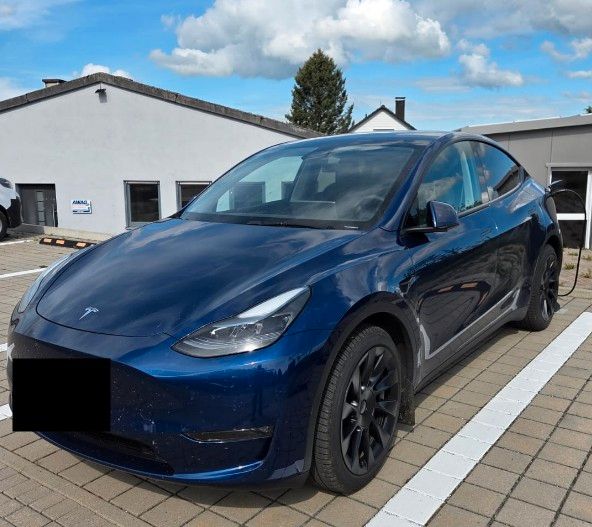 Model Y