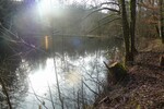 Teichanwesen mitten im Wald Südwestpfalz zimmer