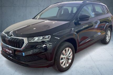 Skoda Karoq 1.120 km 32.990 &euro; Bad Dürkheim 67098