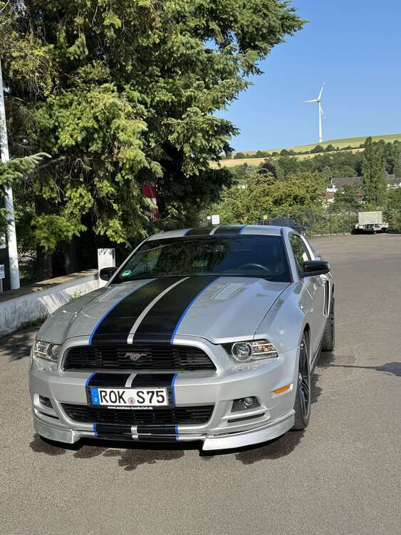 Mustang